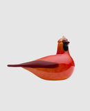 IITTALA - Décoration