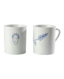 OFFICINA ALESSI - Tableware