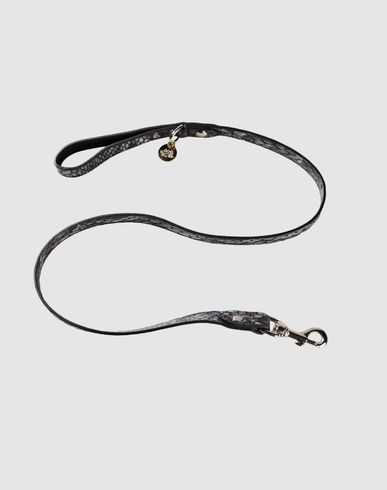 ZOOM DOG & DOLLS - Leash