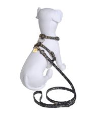 DOG & DOLLS - Harness & Leash Set