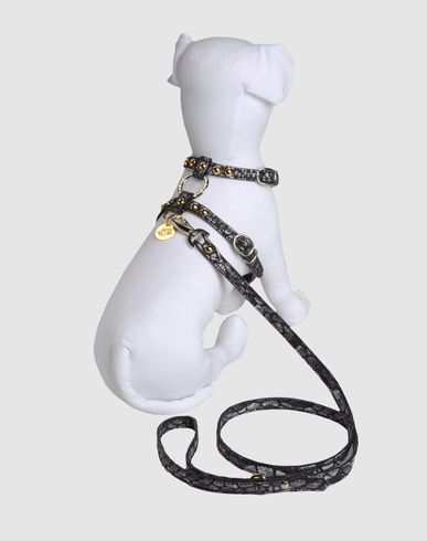 ZOOM DOG & DOLLS - Harness & Leash Set