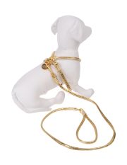 DOG & DOLLS - Harness & Leash Set