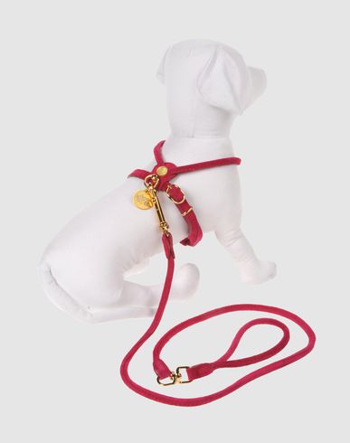 ZOOM DOG & DOLLS - Harness & Leash Set