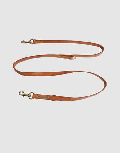 ZOOM LA CINOPELCA - Leash