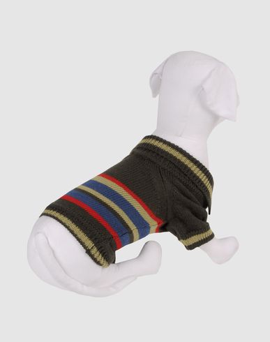 ZOOM DVS DOG VIP STAR - Jumper
