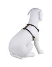 LA CINOPELCA - Harness