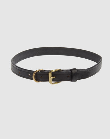 ZOOM LA CINOPELCA - Collar