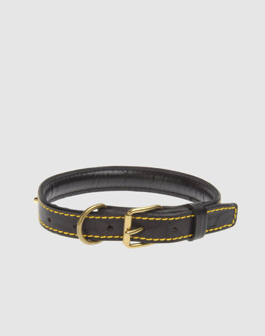 ZOOM LA CINOPELCA - Collar