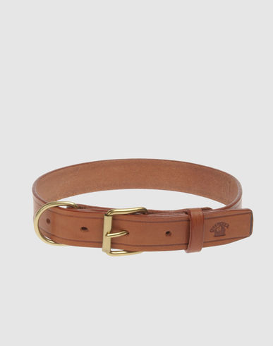ZOOM LA CINOPELCA - Collar