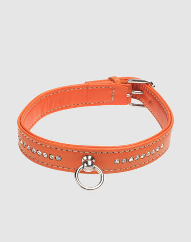 ZOOM LA CINOPELCA - Collar