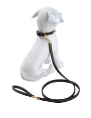 DSQUARED2 - Harness & Leash Set