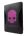 Fuchsia Fuchsia