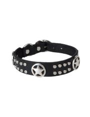 PACO COLLARS - Collar
