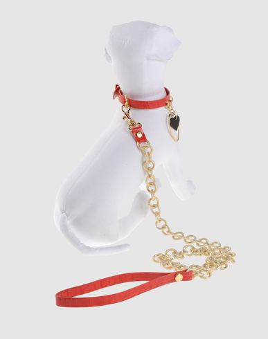 ZOOM L'IZZURA - Harness & Leash Set