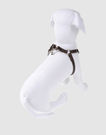 LUCY'S LUXURIES - Harness