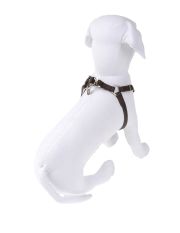 LUCY'S LUXURIES - Pettorina