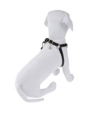 LUCY'S LUXURIES - Pettorina