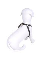 LUCY'S LUXURIES - Pettorina