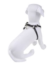 LUCY'S LUXURIES - Pettorina