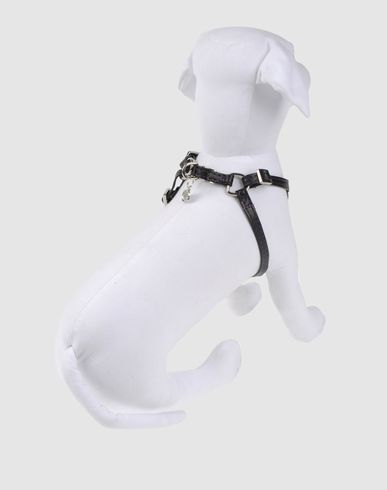 ZOOM LUCY'S LUXURIES - Harness