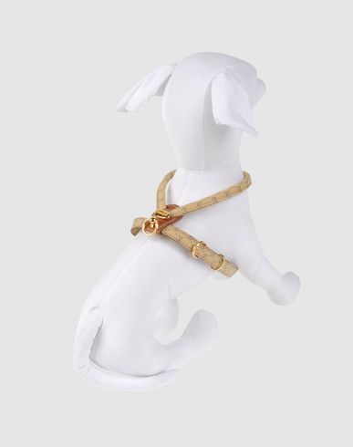 ZOOM LA CINOPELCA - Harness