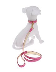 I LOVE MY DOG - Set Collare Guinzaglio