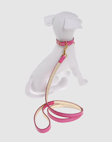 ZOOM I LOVE MY DOG - Harness & Leash Set