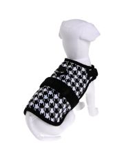AVANT GARDE HARNESS - Pettorina