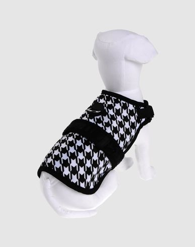 ZOOM AVANT GARDE HARNESS - Harness