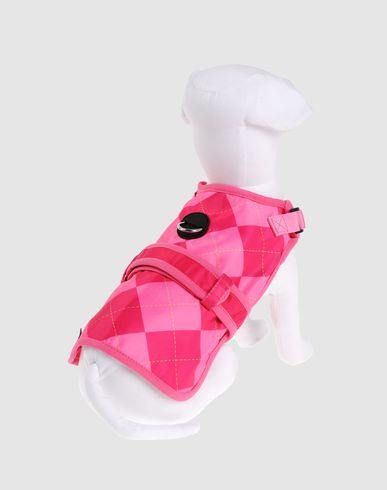 ZOOM AVANT GARDE HARNESS - Harness