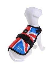 AVANT GARDE HARNESS - Pettorina
