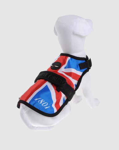 ZOOM AVANT GARDE HARNESS - Harness