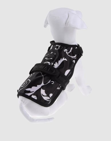 ZOOM AVANT GARDE HARNESS - Harness