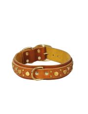 PACO COLLARS - Collare