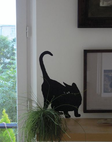 ZOOM DOMESTIC - Decoration