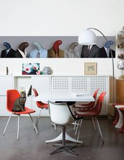 DOMESTIC - Elemento decorativo