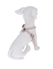 DVS DOG VIP STAR - Pettorina