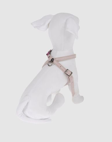 ZOOM DVS DOG VIP STAR - Harness