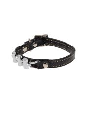 DVS DOG VIP STAR - Collare