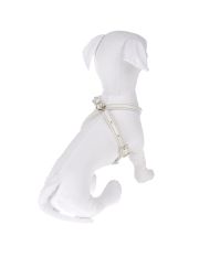 DVS DOG VIP STAR - Pettorina