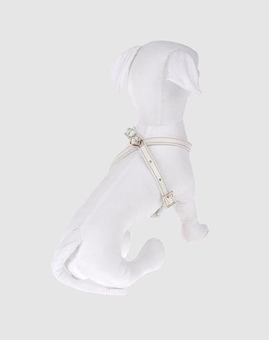 ZOOM DVS DOG VIP STAR - Harness