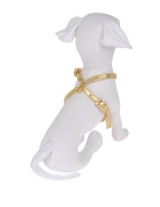 DVS DOG VIP STAR - Pettorina