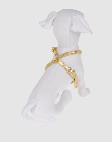 ZOOM DVS DOG VIP STAR - Harness