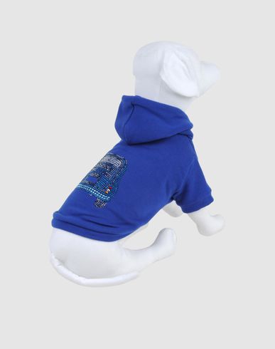 ZOOM MON TOUTOU - Sweater