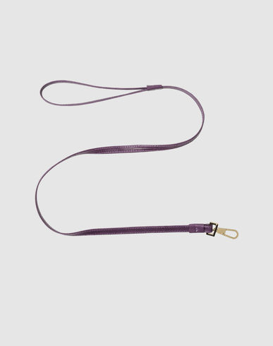 ZOOM MON TOUTOU - Leash