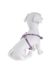 PET FOLLIE - Harness