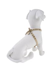 PET FOLLIE - Pettorina