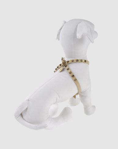 ZOOM PET FOLLIE - Harness