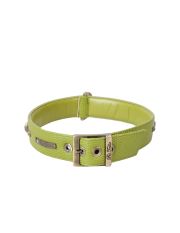 PET FOLLIE - Collare
