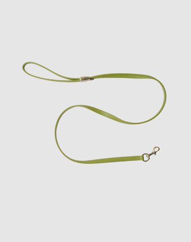 ZOOM PET FOLLIE - Leash